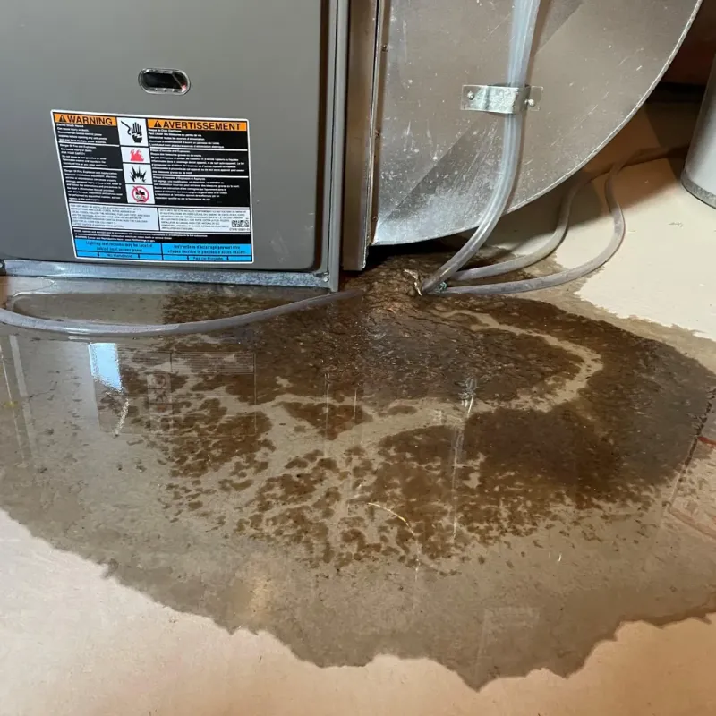 Appliance Leak Cleanup in Pikeville, KY
